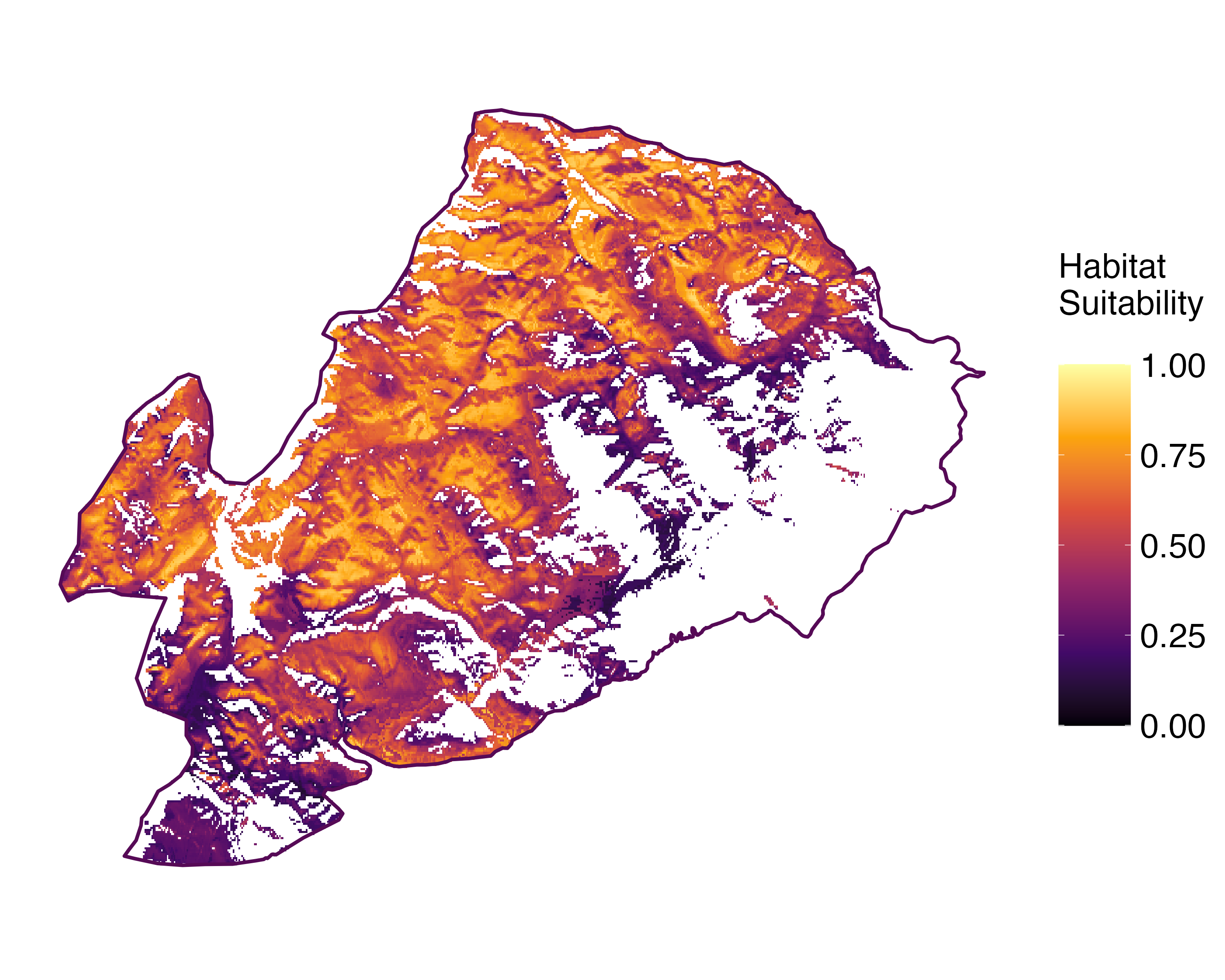 Model Image